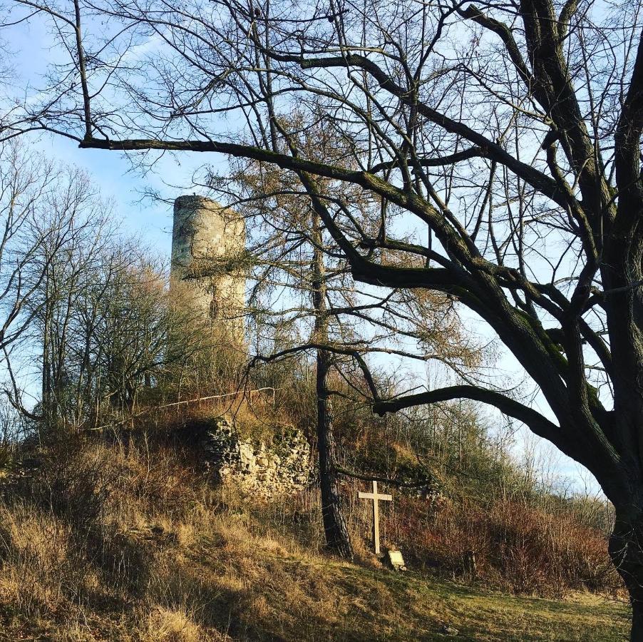 Ferienwohnungen Lausbuben & Zicken - Im Gruenen Herzen Deutschlands Herleshausen Buitenkant foto