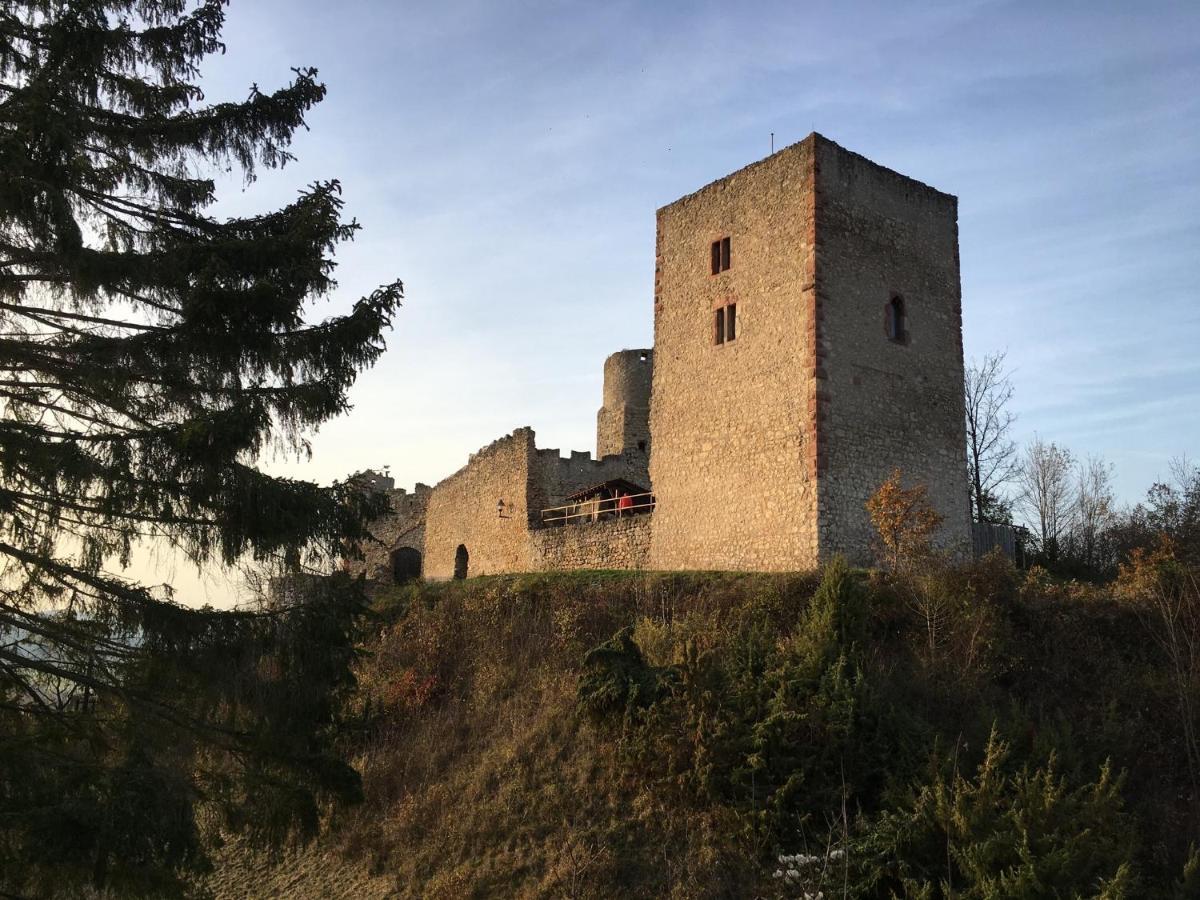 Ferienwohnungen Lausbuben & Zicken - Im Grunen Herzen Deutschlands Herleshausen Buitenkant foto